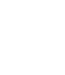 logo Groupe Morlot
